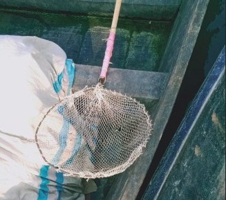 নৌকায় রাখা স্টিক জাল