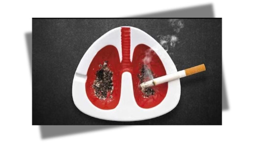 তামাক ব্যবহার নিয়ে উঠে এল ভয়াবহ চিত্র