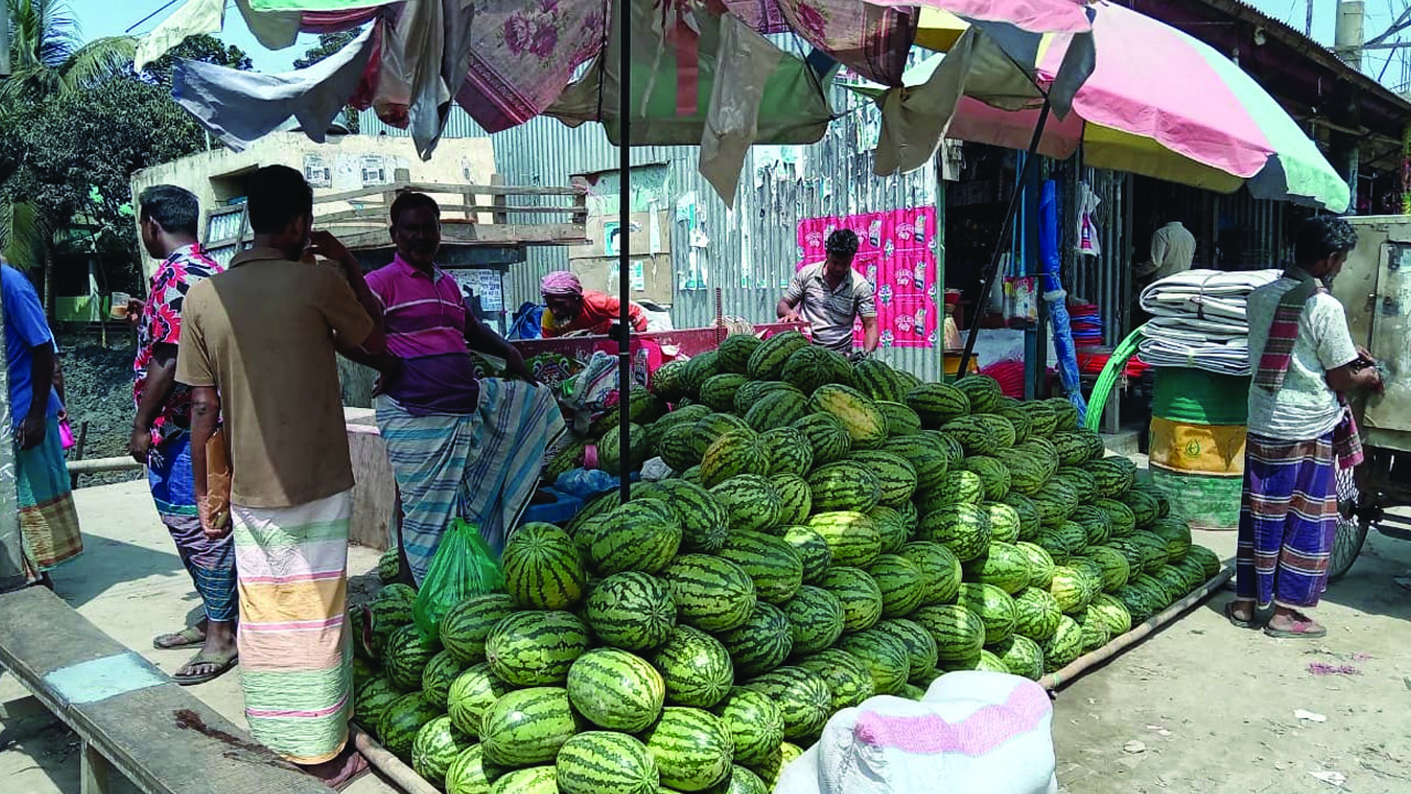 তরমুজ