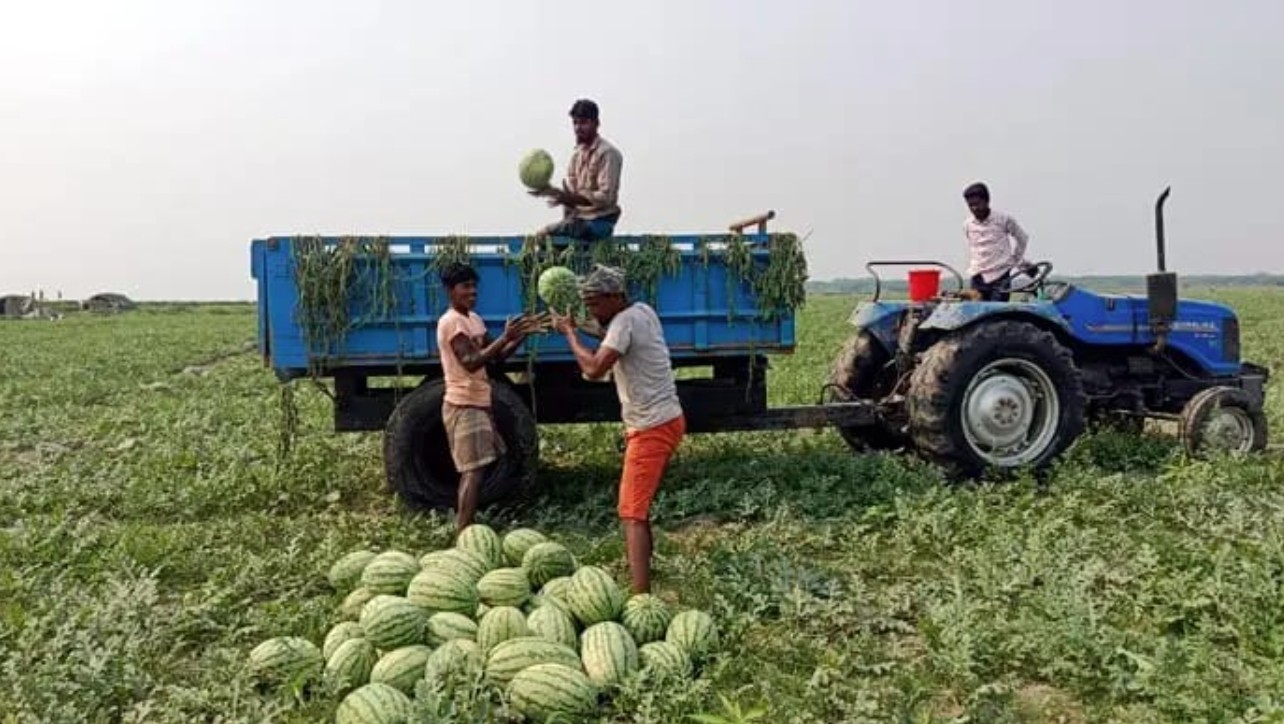 তরমুজ ২