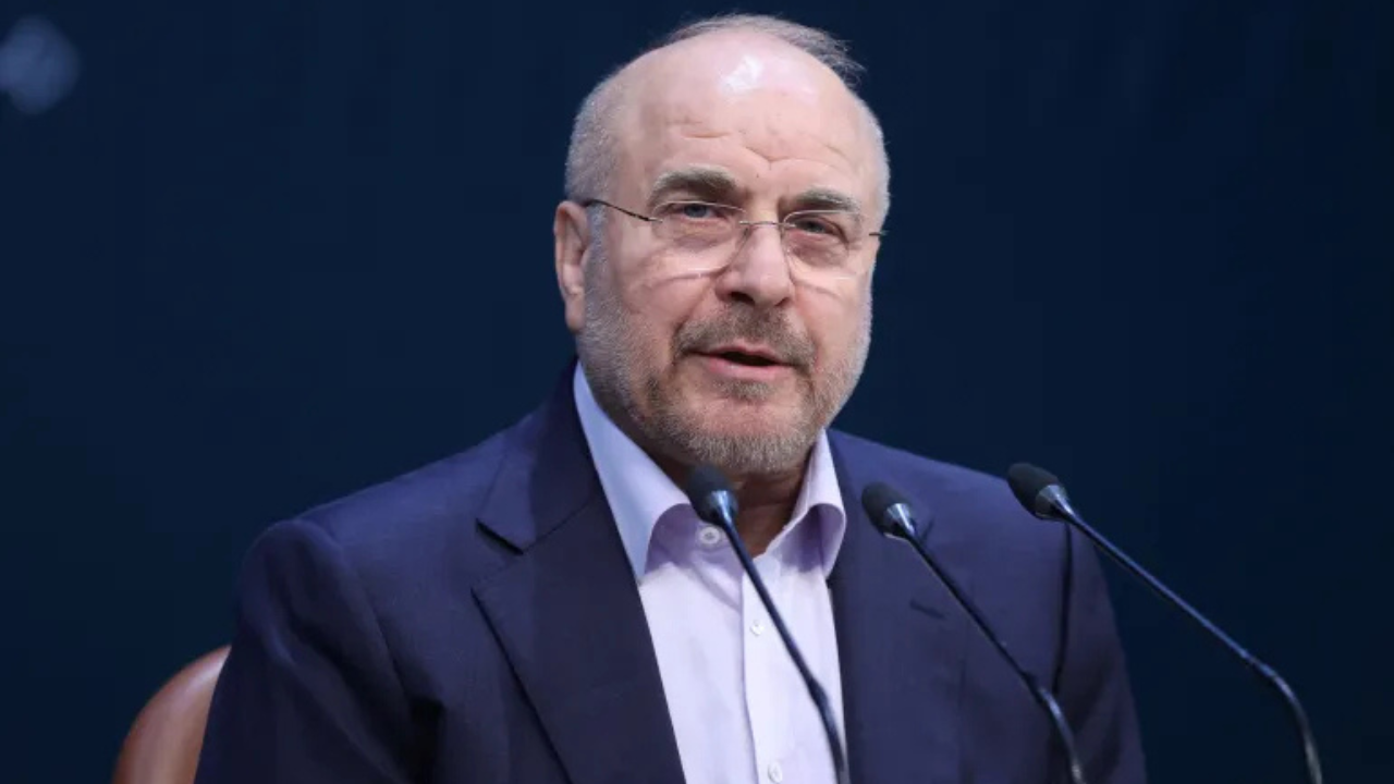 যুদ্ধের মধ্যেই আলোচনায় নতুন মুখ কে এই বাঘের গালিবাফ