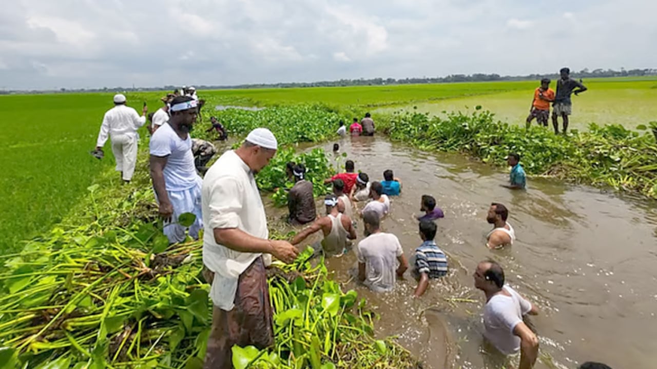 গলাপানিতে নেমে কচুরিপানা পরিষ্কার করলেন সংসদ সদস্য 