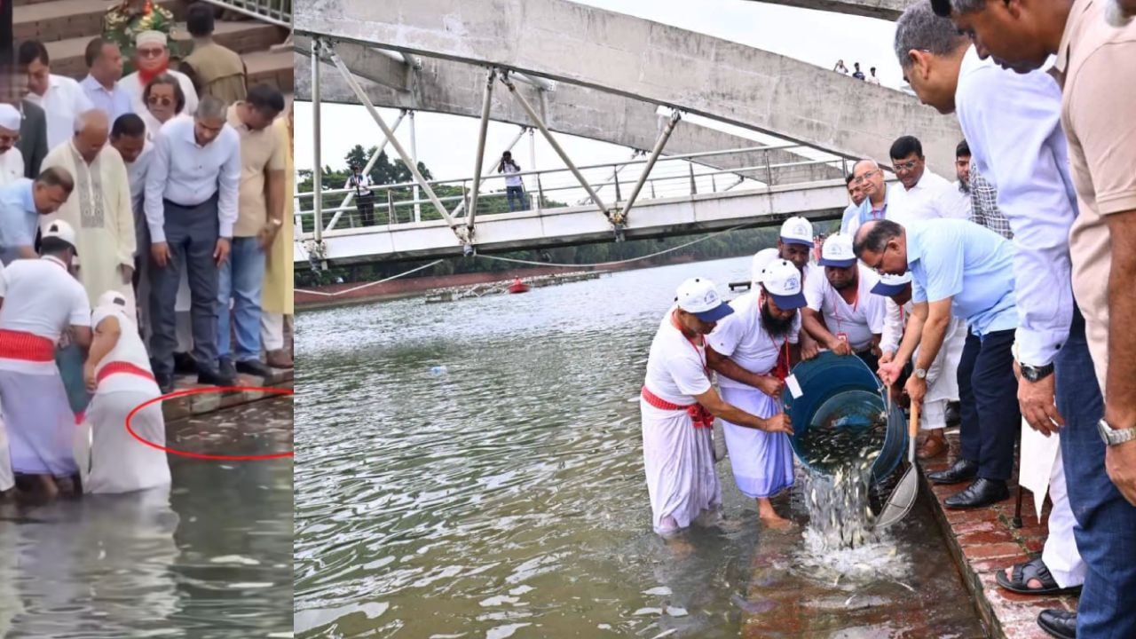 জিয়া উদ্যানের লেকে প্রধানমন্ত্রীর পোনা অবমুক্তকরণে মরা মাছ, যা জানা গেল