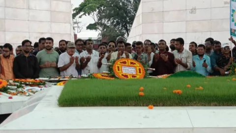 পেশাজীবীদের স্বাধিকার রক্ষায় জাগ্রত ডিইএব