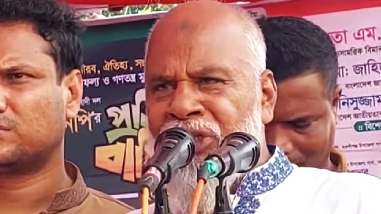 বিএনপিকে টিকিয়ে রেখেছিলেন যুবলীগ নেতা: উপজেলা বিএনপির সভাপতি