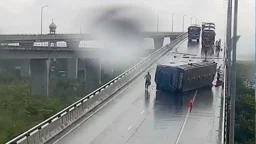 পদ্মা সেতুতে বাস উল্টে ৮ জন আহত
